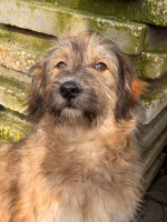 /album/193/whatsapp-image-2026-03-08-at-14-22-57-jpeg/